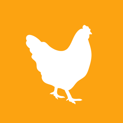Catégorie : Poulet Halal.